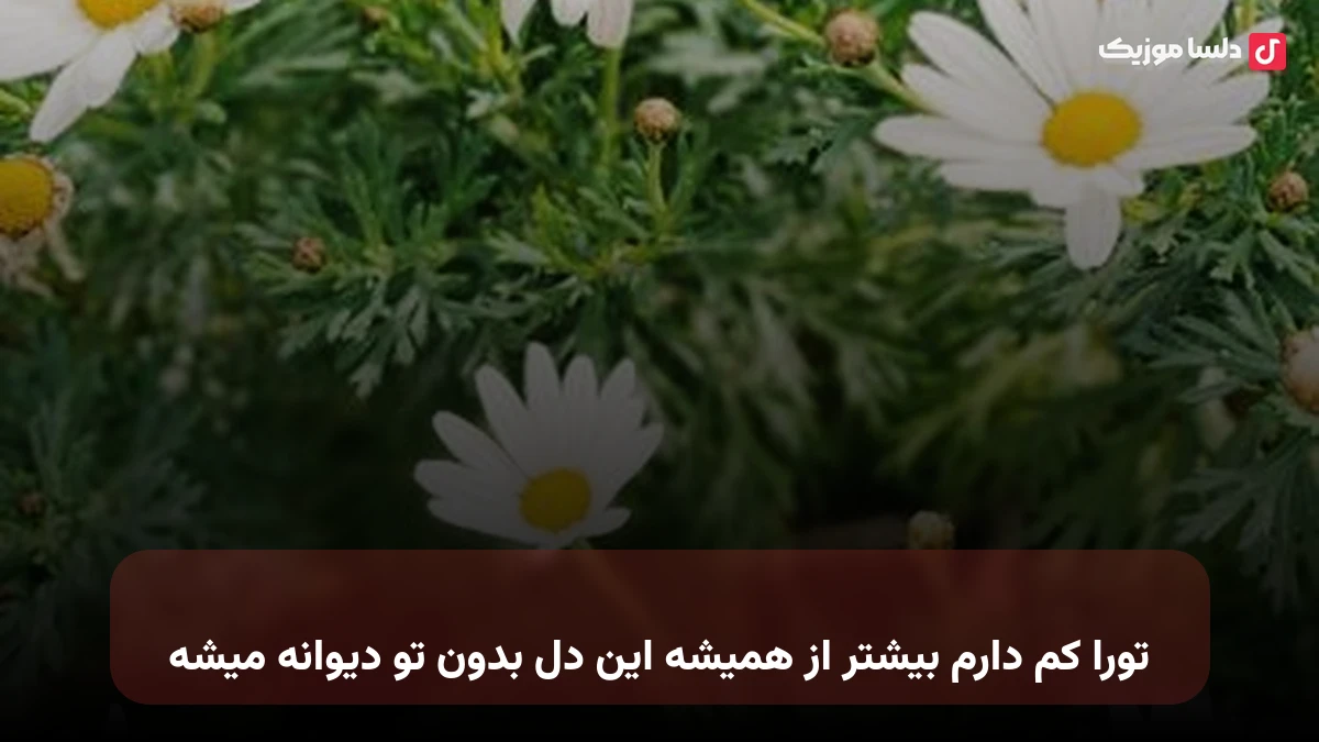 تورا کم دارم بیشتر از همیشه این دل بدون تو دیوانه میشه
